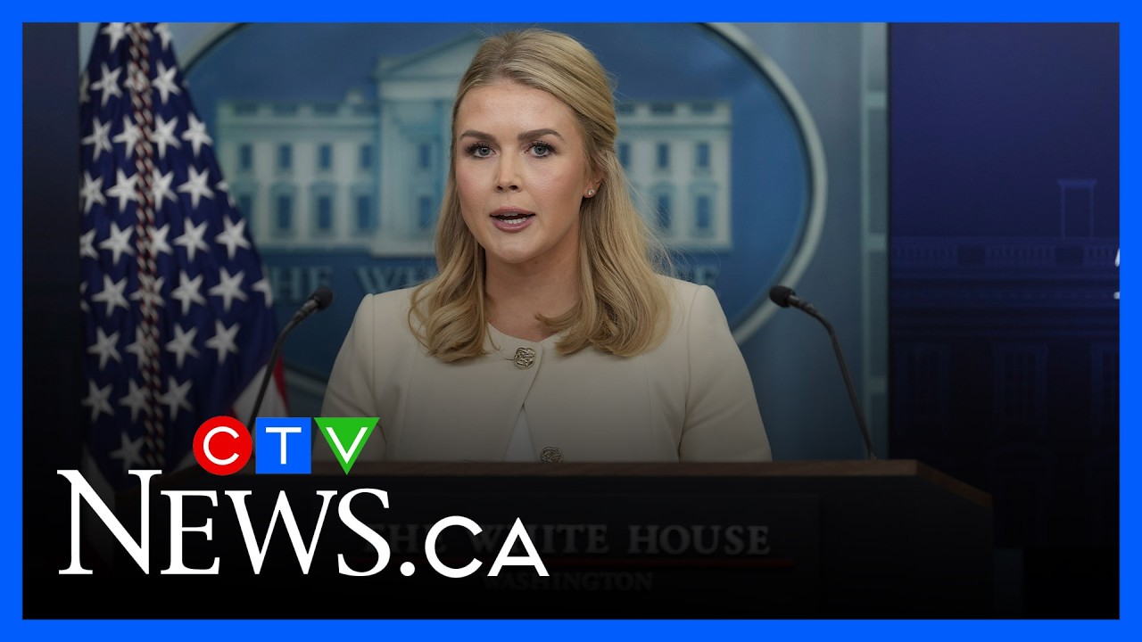 ‘We have never been this close to peace’ | White House on Trump’s call with Zelenzkyy after Putin