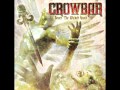 Crowbar - Sever the wicked hand (lyrics)