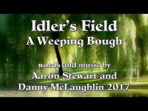 A Weeping Bough by Idler's Field