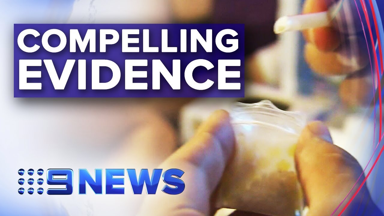 Coroner says evidence is 'compelling' for pill testing at festivals | Nine News Australia
