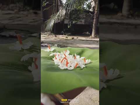 shishir a shishir a shared akase....🌸🌸🙂 #viralvideo