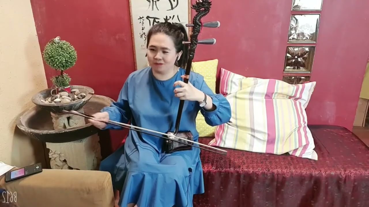 Chinese Instrument Performance