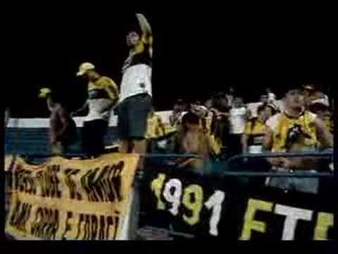 Os Tigres - Torcida de Criciúma
