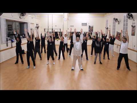 Wu Xing - 五行 气功 - Five Elements Qi Gong - Master Giuseppe Paterniti Lupo - Malta 2016