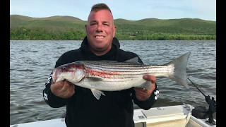 Striper Fishing the Hudson River in Newburgh New York 2017 Season
