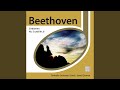 Symphony No. 5 in C Minor, Op. 67: I. Allegro con brio