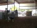 93 Wmv