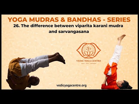 The difference between viparita karani mudra and sarvangasana - Shailendra Negi, Vedic Yoga Centre
