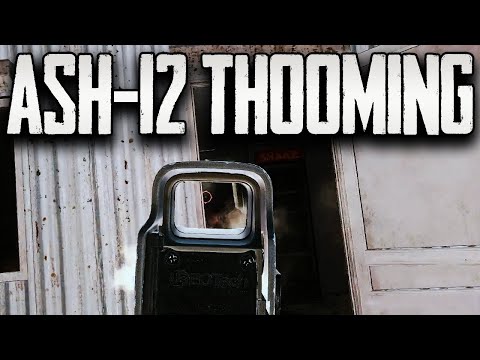 ASh-12 THOOMING - Escape From Tarkov