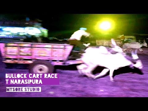 Bullock Cart Race  T Narasipura (15.12.2019) Bailgadi Race Ethinagadi Race