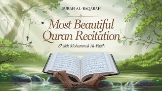 Download lagu Surah Al-Baqarah | سورة البقرة | Beautiful Quran Recitation by Sheikh Mohammed Al-Faqih mp3 Download lagu Surah Al-Baqarah | سورة البقرة | Beautiful Quran Recitation by Sheikh Mohammed Al-Faqih mp3