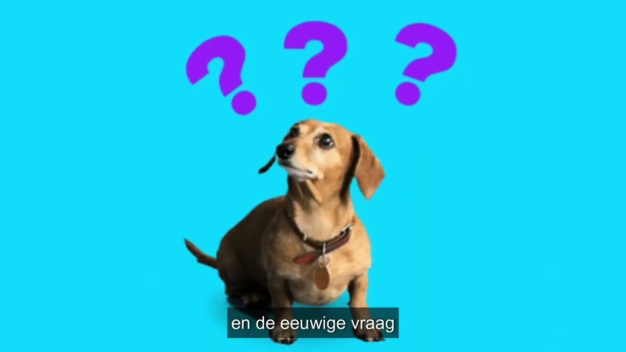 In 30 seconden zie je hoe het werkt