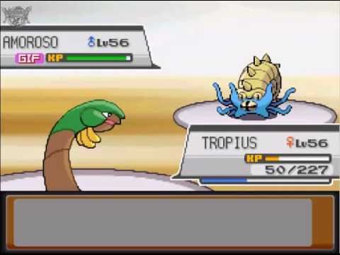 Pokémon Goldene Edition HeartGold (German Walkthrough) [66] - Rematch: Rocko