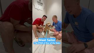 Star Tip 3: don’t miss the biggest Star of the Seas, not the ship, Sailor, the doggo. Wag that tail!