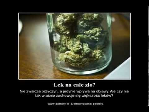 ZiuTeK - "Nasze Klimaty"