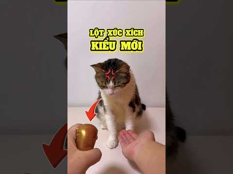 Lột Vỏ Xúc Xích Kiểu Mới 😂