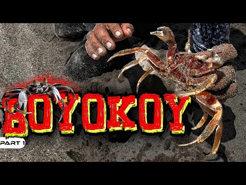 P1-Boyokoy Catch and Cook - EP1022