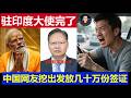 重磅 中国驻印度大使估计要完了 几个月发几十万份签证还有中介公司