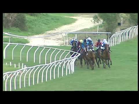 Galoppo 28/12/2020 - 4ª corsa