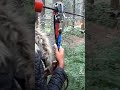 #shorts - EPIC GO APE ADVENTURES - I’m going to push you 😬😬