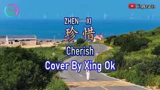 Download lagu 珍惜  Zhen Xi | Mandarin Song Cover mp3