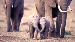 Big Head Todd and the Monsters- I will carry