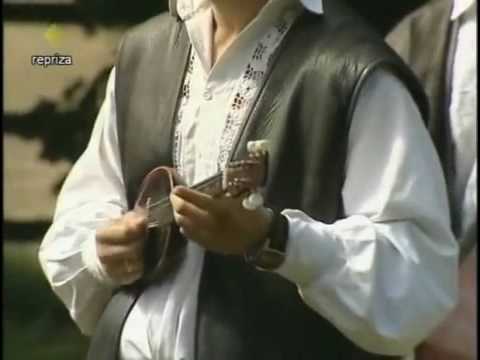 TS Đeram - Žuta ruža