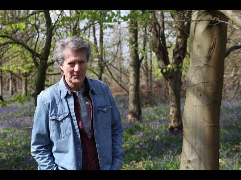 Enough Is Enough - Bryn Haworth
