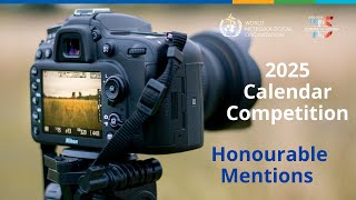 2025 Calendar Competition - Honourable mentions