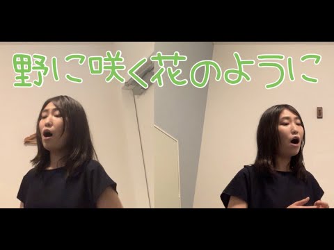 音楽学科 【1人で二部合唱】野に咲く花のように