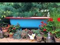 How To Make A Bathtub Garden Pond