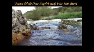 Musik-Video-Miniaturansicht zu Poema del río Songtext von José Ángel Buesa