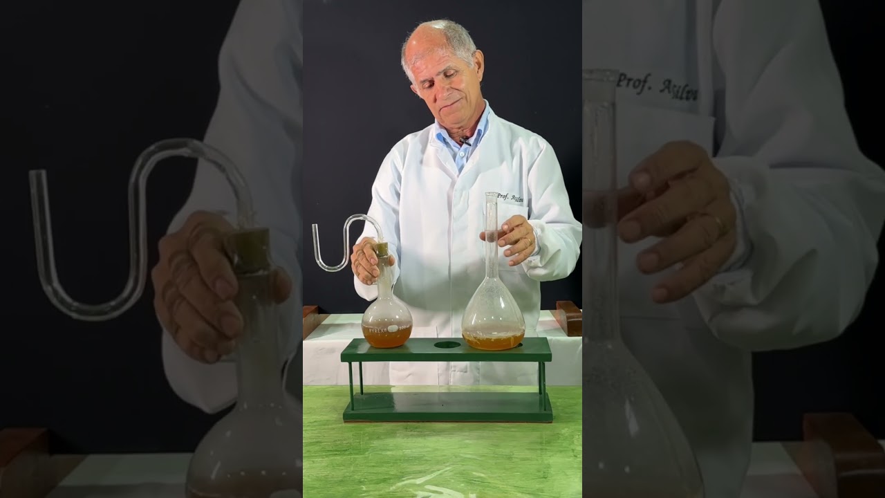 O Triunfo da Biogênese