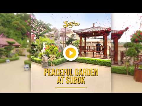 download lagu mp3 mp4 Joyful Garden, download lagu Joyful Garden gratis, unduh video klip Download Joyful Garden Mp3 dan Mp4 Free All Gratis