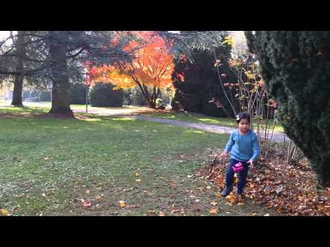 Mariam's Home (Nov 1 ,2015)