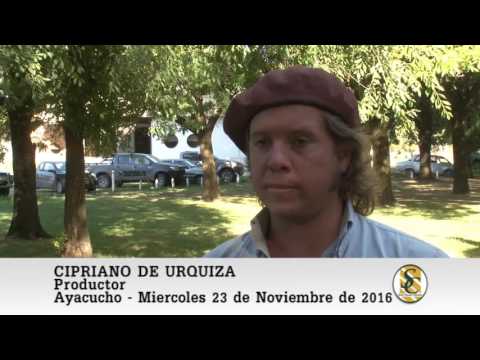 23-11-16  Cipriano de Urquiza - Colombo y Magliano S.A. - Ayacucho