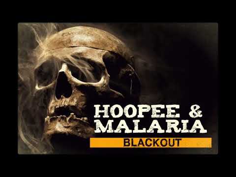 Hoopee & Malaria - Vitu paljon paskaa