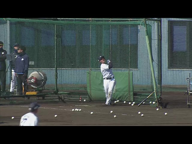 【春季キャンプ】ライオンズ・長谷川信哉が個別練習で大きな打球を飛ばす!! 2025年2月9日 埼玉西武ライオンズ