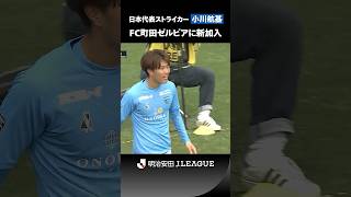 【FC町田ゼルビアに新加入】日本代表ストライカー・小川航基のゴールをプレーバック！