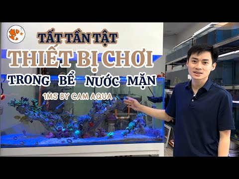 Tất tần tật về những thiết bị trong bể nước mặn của mình | All devices in my saltwater aquarium tank