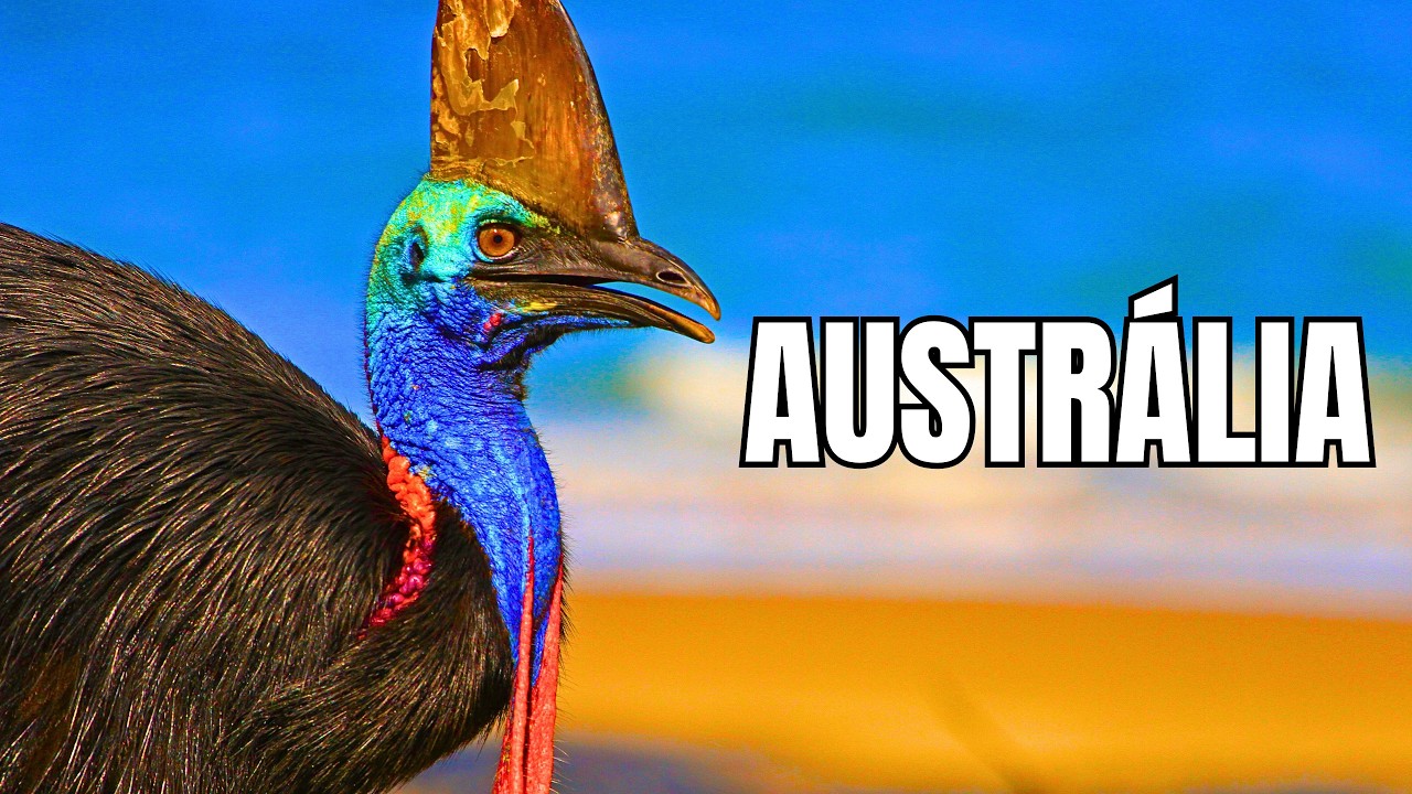 AUSTRÁLIA SELVAGEM | Animais Entre o Deserto e a Floresta - Documentário