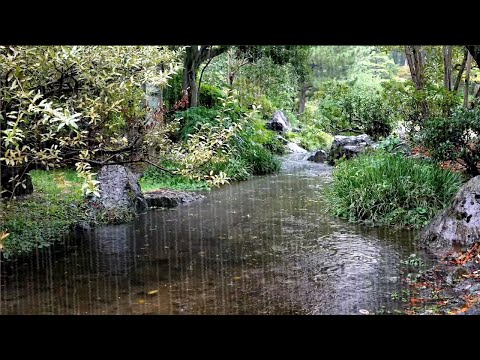 Regnljud som faller på en liten bäck Läkande tid, lindring av sömnlöshet och tinnitus