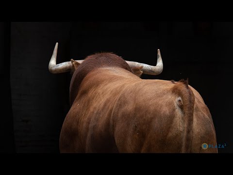 SORTEO | Corrida toros 26 mayo, Victoriano del Río y Cuvillo