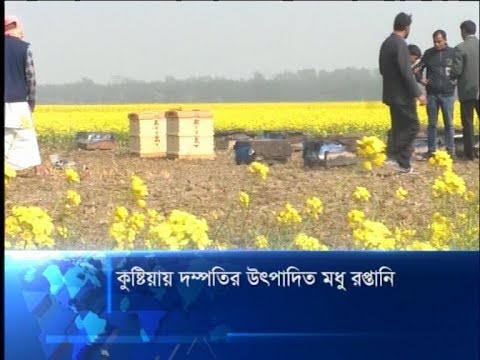 কুষ্টিয়ায় দম্পতির উৎপাদিত মধু রপ্তানি