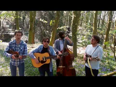 The Often Herd - Eight Miles High (The Byrds)