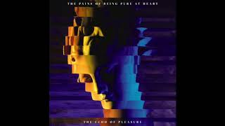 The Pains Of Being Pure At Heart ‎– Falling Apart So Slow (LP)
