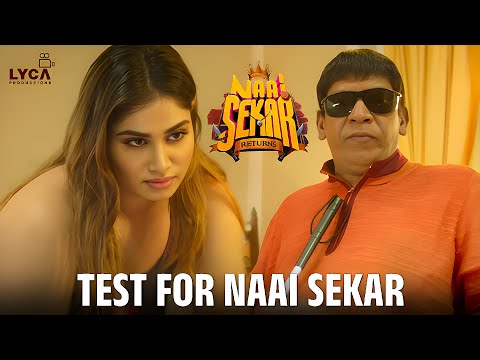 Test For Naai Sekar | Naai Sekar Returns Movie Scenes | Vadivelu | Sivaangi | Kingsley