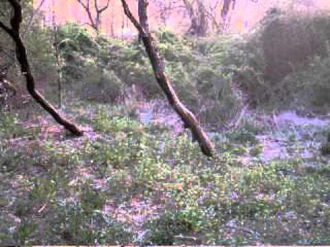 download lagu mp3 mp4 19bear, download lagu 19bear gratis, unduh video klip Download 19bear Mp3 dan Mp4 Youtube Gratis