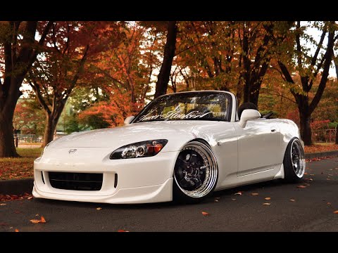 LVTE BLOOMER - SO FAR