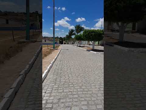 mostrando o sítio mais lindo de Lagoa do Ouro